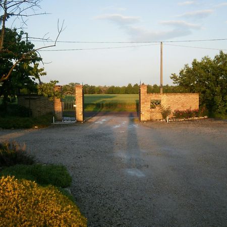 Agriturismo La Cascinetta Пиеве ди Ченто Екстериор снимка